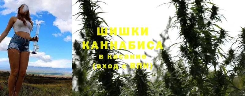 Бошки Шишки SATIVA & INDICA  купить наркотики сайты  Струнино 